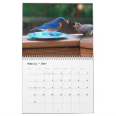 Drossel-Kalender Kalender (Feb 2027)