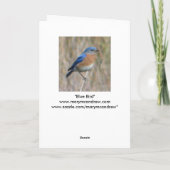 "Drossel " Karte (Rückseite)