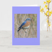 "Drossel " Karte (Gelbe Blume)