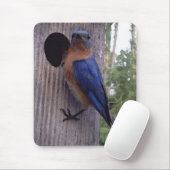 Drossel-Nistkasten Mousepad (Mit Mouse)