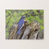 Drossel Puzzle (Horizontal)