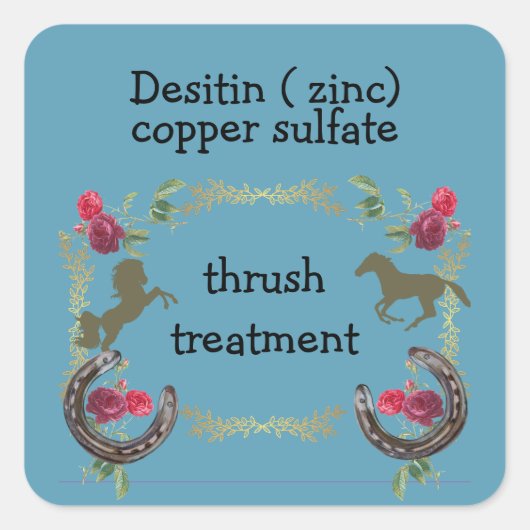 Drossel Quadratischer Aufkleber (Vorderseite)