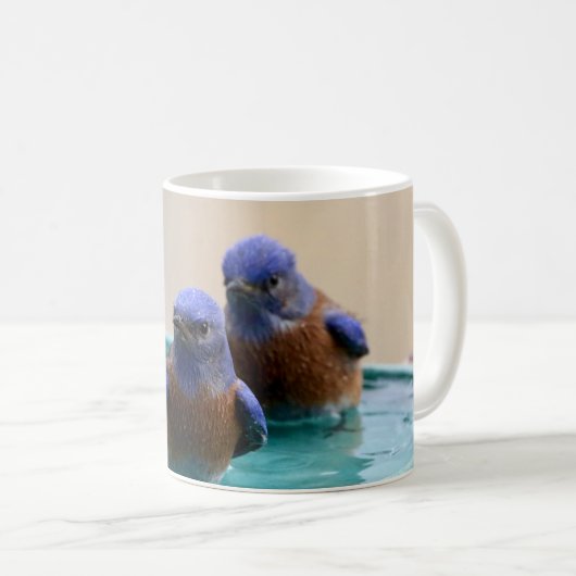 Drossel-Tasse Kaffeetasse (VorderseiteRechts)