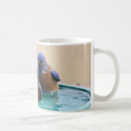Drossel-Tasse Kaffeetasse