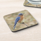 Drossel-Untersetzer Getränkeuntersetzer (Linke Seite)