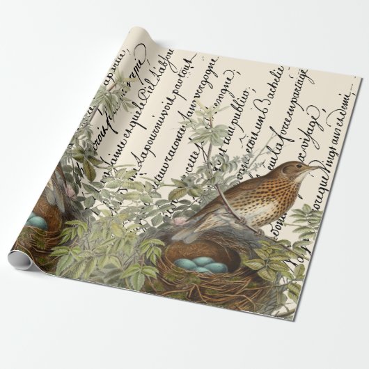 Drossel Vogel und Nest Französisches Skript Vintag Geschenkpapier (Ungerollt)