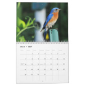 Drossel-Wandkalender Kalender (Mär 2027)