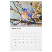 Drossel-Wandkalender Kalender (Feb 2027)