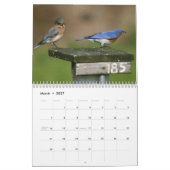 Drosselkalender Kalender (Mär 2027)