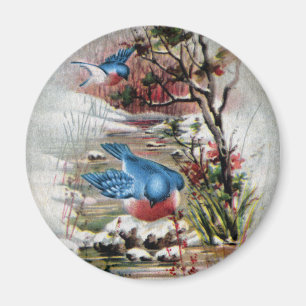 Drosseln im Winter-Vintagen Weihnachten Magnet