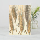 Drought Resistant Wheat Plant, Vintage Agriculture (Stehend Vorderseite)