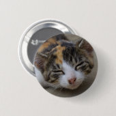 Drowsing Calico Kitten Button (Vorne & Hinten)