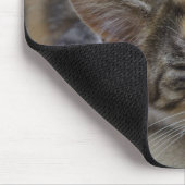Drowsing Calico Kitten Mousepad (Ecke)