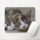Drowsing Calico Kitten Mousepad (Mit Mouse)