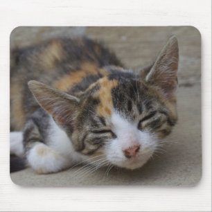 Drowsing Calico Kitten Mousepad