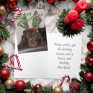 Drowsk Christmas Dog Tragen Glitzer Antlers Feiertagskarte