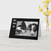 DROWSY DACKELN 40. GEBURTSTAG KARTE (Gelbe Blume)