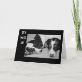 DROWSY DACKELN 40. GEBURTSTAG KARTE (Vorderseite)