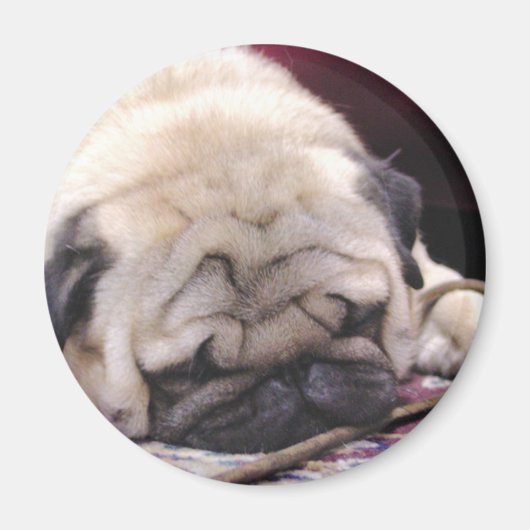 Drowsy Mops Magnet (Vorne)
