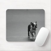 DRU Welpen-Boston-Terrier Mousepad (Mit Mouse)