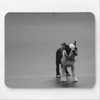 DRU Welpen-Boston-Terrier Mousepad