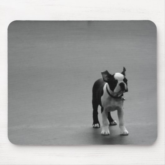 DRU Welpen-Boston-Terrier Mousepad (Vorne)