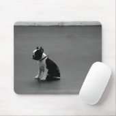 DRU Welpen-Boston-Terrier Mousepad (Mit Mouse)