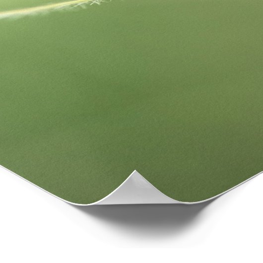 Druck: Apache Plume Poster (Ecke)