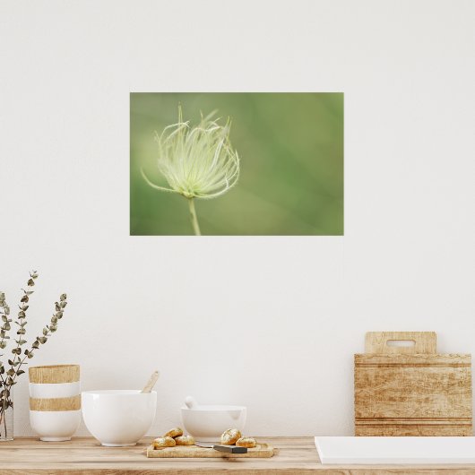 Druck: Apache Plume Poster (Küche)