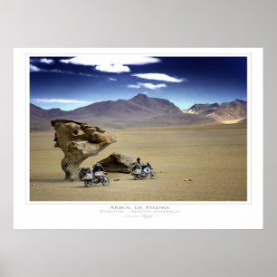 Druck Arbol de Piedra (der Felsen-Baum) Poster