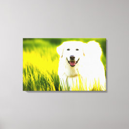 Druck auf Keilleinwand. Joyful White Dog in F Leinwanddruck
