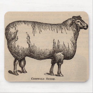 Druck aus dem 19. Jahrhundert Cotswold-Schafe Mousepad