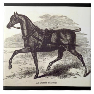 Druck aus dem 19. Jahrhundert Ein englisches Roads Fliese