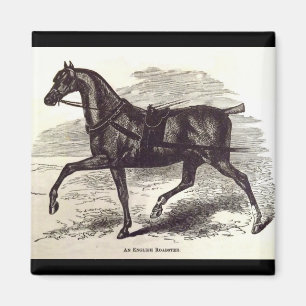 Druck aus dem 19. Jahrhundert Ein englisches Roads Magnet