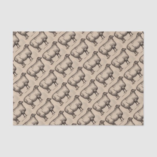 Druck Cotswold Schafe aus dem 19. Jahrhundert Seidenpapier (Vorderseite)