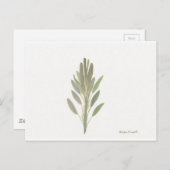 Druck der botanischen Pflanze der Käferhütte Postkarte (Vorne/Hinten)