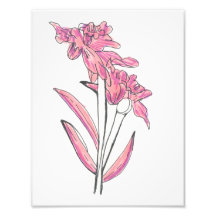 Druck der rosa Orchidee