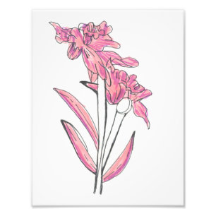 Druck der rosa Orchidee