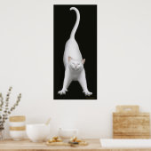 Druck der weißen Katze Poster (Küche)