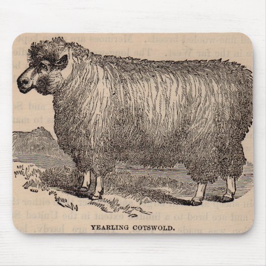 Druck des 19. Jahrhundertseinjährige Cotswold Mousepad (Vorne)