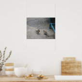 Druck des Vaters und des Chcik Chaffinch Poster (Küche)