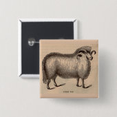 Druck Dorset ram aus dem 19. Jahrhundert Button (Vorne & Hinten)