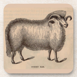 Druck Dorset ram aus dem 19. Jahrhundert Getränkeuntersetzer