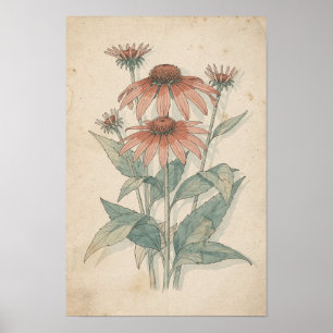 Druck eines botanischen Scheinblumenmotivs Warme Poster