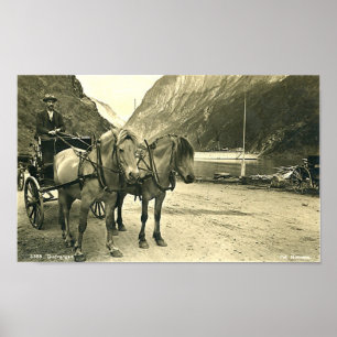 Druck - Gudvangen, Norwegen Poster