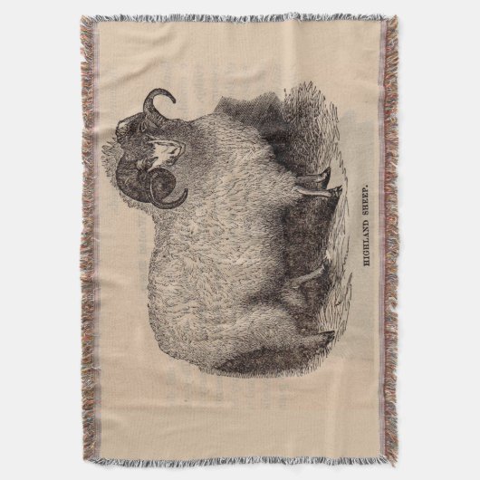 Druck Highland Schafe aus dem 19. Jahrhundert Decke (Vorderseite Vertikal)