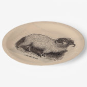 Druck Highland Schafe aus dem 19. Jahrhundert Pappteller (Schrägansicht)