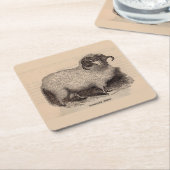 Druck Highland Schafe aus dem 19. Jahrhundert Rechteckiger Pappuntersetzer (angewinkelt)