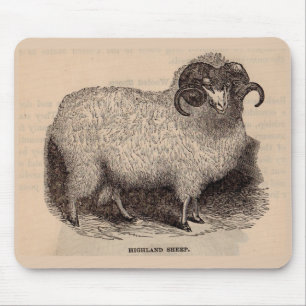 Druck Hochlandschafe des 19. Jahrhunderts Mousepad