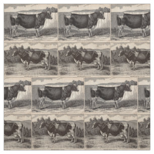 Druck Holstein-Stier und Färsendruck des 19. Stoff